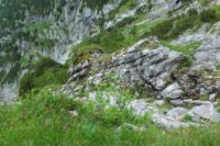 2014-07-24_OsterfelderKopf (314).JPG